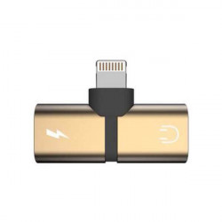 2-IN-1 GOLD ADAPTER