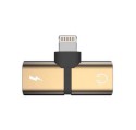 2-IN-1 GOLD ADAPTER